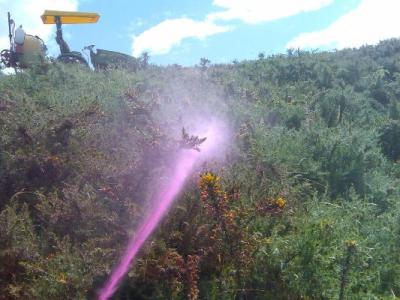Gun Spraying 400x300.jpg